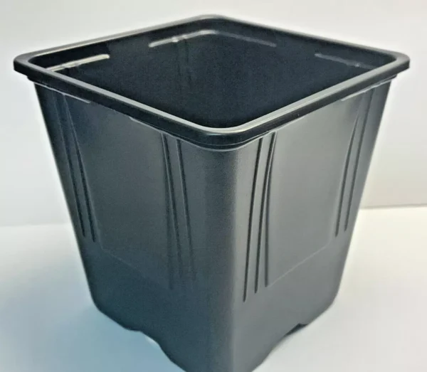 11cm Square Plastic plant Pots Pack of 25